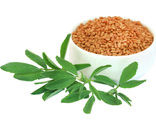 Fenugreek Seeds